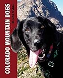 Colorado Mountain Dogs by M. John Fayhee