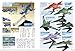 Space Battleship Yamato 2199 Modeling Guide (DENGEKI HOBBY BOOKS) [JAPANESE EDITION] 2014