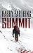 Summit: A Novel