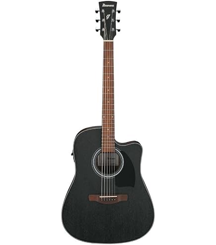 Amazon.com: Ibanez Altstar ALT20 Acoustic-Electric Guitar
