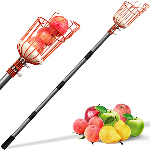 Walensee 13FT Fruit Picker Pole with Basket, 35-158 Inch Adjustable Mango Picker Tool, Stainless Steel Telescoping Cherry Picker for Tree, Apple Pear Lemon Orange Avocado Picking