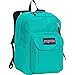 JanSport Digital Student Coral Sparkle Pretty Posey One Size