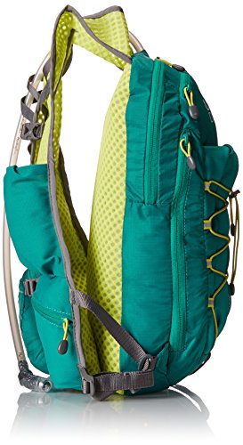 ultimate direction wink