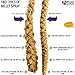 Birds LOVE Economy & Thin Special Spray Millet for Birds – 5 lb GMO-Free, No Stems Only Edible Tops – Healthy Treat for Cockatiels, Lovebirds, Parakeets, Finches, Canaries, Parrots