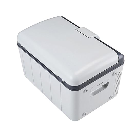 Coche nevera refrigeración y calefacción doble propósito Mini ...