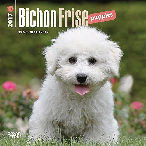 Bichon Frise Puppies 2017 Mini Calendar 7x7