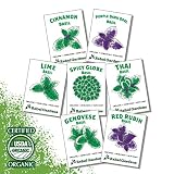 Organic Basil Seeds - Set of 7 Heirloom Non-GMO Seed Varieties - Thai, Genovese, Cinnamon, Spicy Globe, Purple Opal, Red Rubin, and Lime