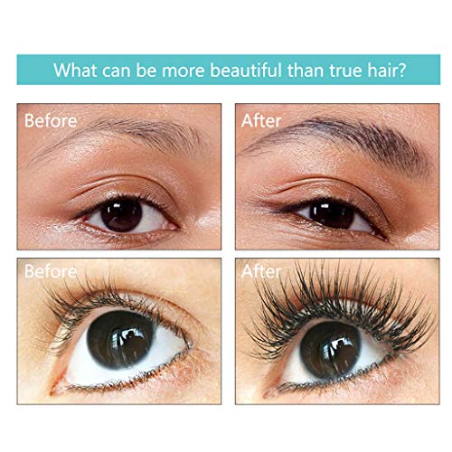 shamrock58 Pansly Enhanced Version of Beard Hair Eyebrows and Eyelashes Nourishment Light Blue (Light Blue)
