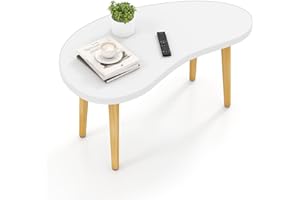 Funecy Mango Coffee Table Low Table with 4 Solid Wood Sturdy Legs, Floor Table Desk for Sitting on The Floor, Storage and Living Room Furniture (White)