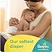 Pampers Swaddlers Size 1 (12 Packs of 20 = 240 count)