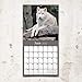 2020 Wolves Wall Calendar