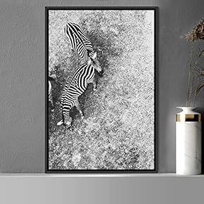 signwin Framed Canvas Wall Art Duotone Zebra Animals...