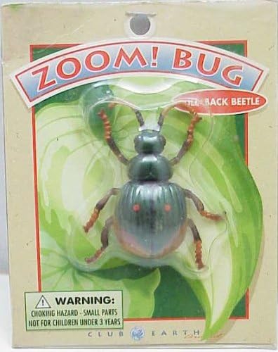 toy beetles