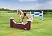 Breyer Show Jumping - Classics Toy Horse with Accessories