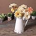 Watering Honey Elegant French Style Country Primitive Pitcher Flower Vase Watering Can Planters for Wedding Home Bar Decoration~Beige