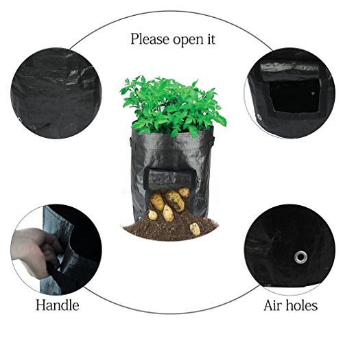 image for HYRIXDIRECT 2 Pack 10 Gallon Black Grow Bags Portable Potato Growing B