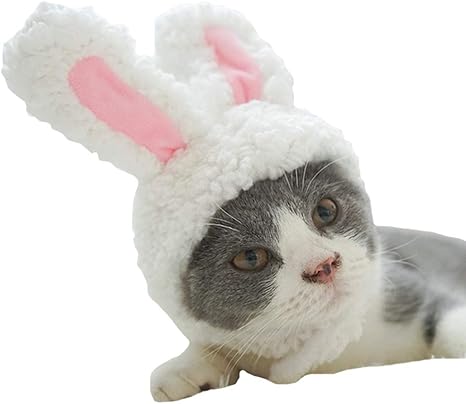 Fladorepet Oreilles De Lapin Pour Chat Petits Chiens Costume De Fete Chapeau De Chien Bandeau Pour Le Cou Et Les Oreilles Amazon Fr Animalerie