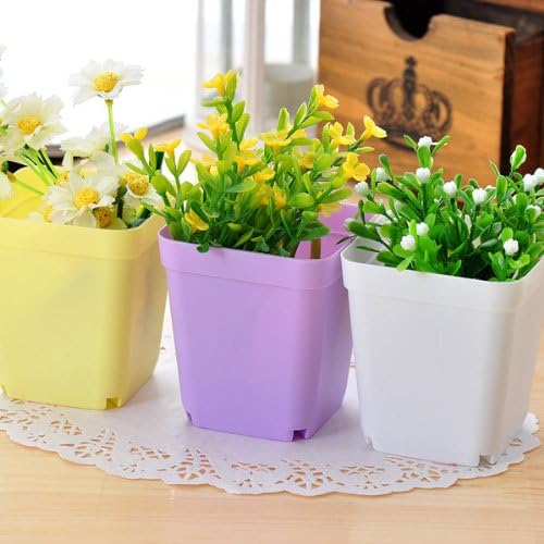 Plastic Colorful Square Flowerpot,Color Purple