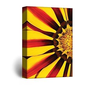 Canvas Wall Art - Closeup of a Red and Yellow Flower Petal - Giclee Print Gallery Wrap Modern Home Art Ready to Hang - 12x18 inches