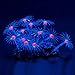 Uniclife Glowing Effect Artificial Coral Plant for Fish Tank, Decorative Aquarium Ornament,Purple