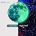 Glow in The Dark Stickers for Ceiling, Glowing Wall Decals Perfect for Kids Bedroom, Gift for Boys and Girls, Perfect for Room Decor (Glowing Moon)
