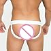 Taddlee Sexy Low-Rise Jock Strap Men Stretch Briefs Thong Underwear Pouch Gay (M, White)