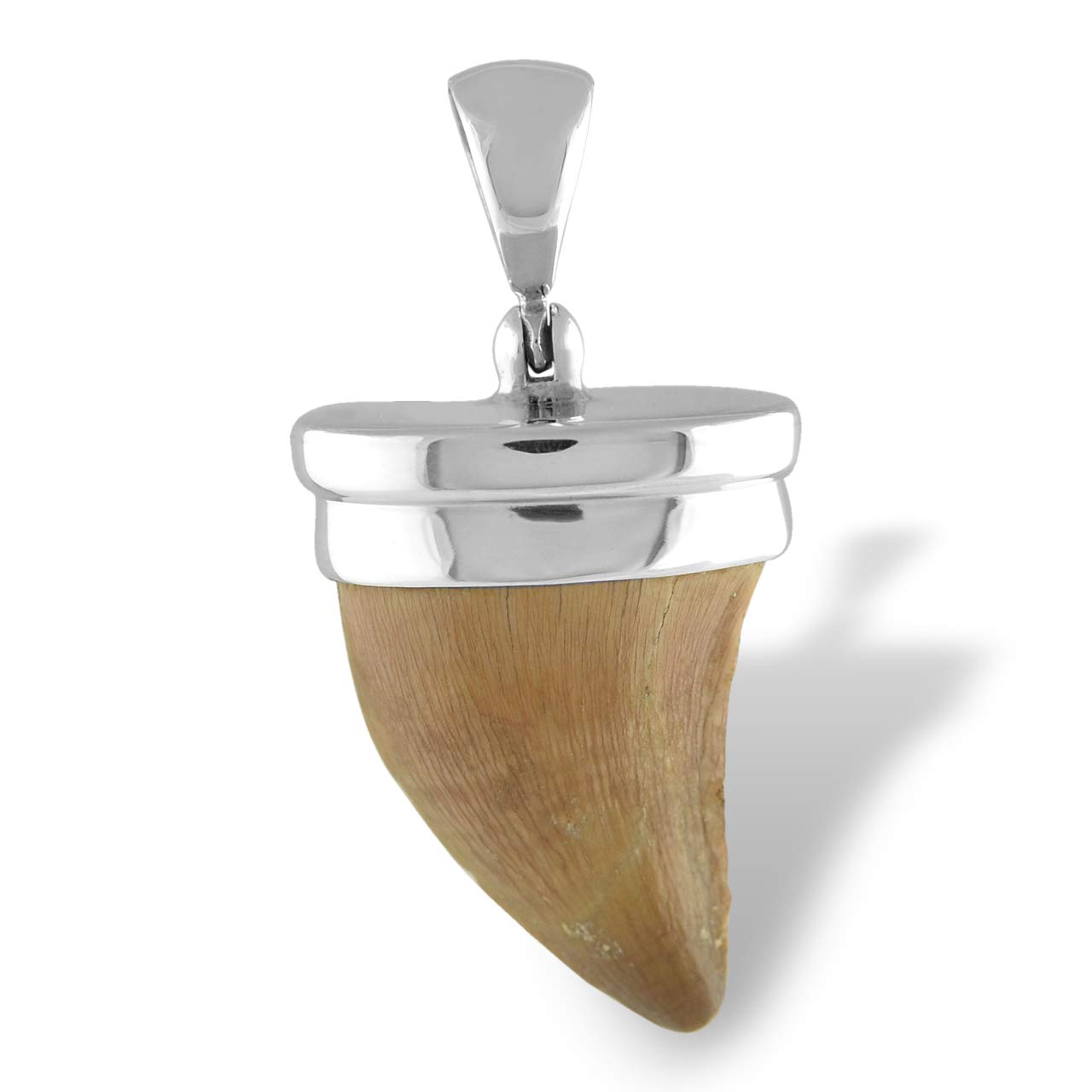 Starborn Fossil Mosasaurus Tooth Pendant in Sterling Silver
