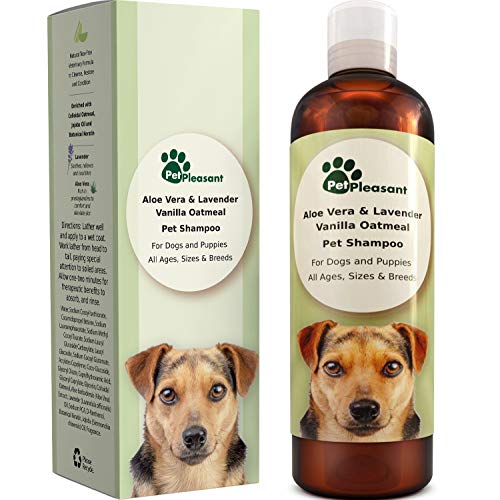 18 Best Dog Shampoo That Relieves Itchy Skin Hellow dog