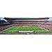 MasterPieces 1000 Piece Sports Jigsaw Puzzle - NFL Cleveland Browns Center View Panoramic - 13