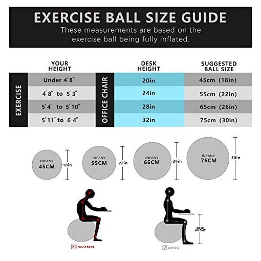 INPANY Exercise Ball(45-85cm) - Extra Thick Yoga Ball Chair, Stability Ball Supports 2200lbs, Birthing Ball with Pump… - Image 4