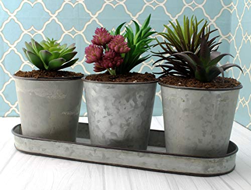 Darware Galvanized Succulent Pot Set (3 Pots with Tray); Farmhouse Flower Tin Pot and Tray Windowsill Planter or Caddy
