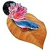 SunGrow Betta Bed Kit, 4 to 6-inches, Comfy Hammock, Rest Area for Fish, Improves Health by Simulating Betta's Native Habitat, 6 Beds + 2 Suction Cups Included