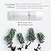 AMOREPACIFIC Korean Essence Facial Toner, Oil Drop Skin Moisturizer - Fragrance Free, Paraben Free, For All Skin Types, by GAONDODAM (150 ml / 5.07 fl.oz.)