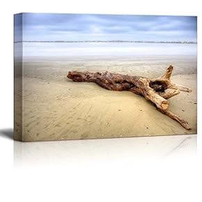 Canvas Prints Wall Art - Beautiful Scenery/Landscape Dead Wood on The Beach | Modern Wall Decor/Home Decoration Stretched Gallery Canvas Wrap Giclee Print & Ready to Hang - 12" x 18"