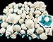 Nautical Crush Trading Sea Shells - White Real Mixed Beach Seashells (1lb) with Sea Glass Chips - Shells for Crafts - Ocean Decor - Beach Party Decorations - Seashell Decor - Large Shells Crafts