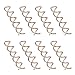 Frcolor 10 Pcs Spiral Twist Hair Pins Spin Clips Bun Stick Pick for DIY Hair Style (Rose Gold)