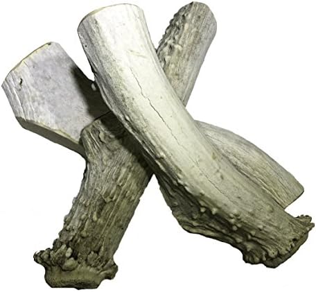 Jumbo Thick Sun Aged Natural Deer Antlers, Dog Chews, 1 Pound Pack - WhiteTail Naturals