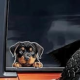 2 pcs Cute Rowena Dog Funny Car Bumper Sticker,6 Inch Vinyl Decal, Waterproof,Die-Cut for Cars,Windows,Laptops