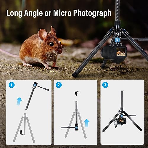 SIRUI Carbon Fibre Tripod for Camera, 152cm Compact Lightweight Tripod with Fluid Head AT-10, Portable Travel Tripod for Camera, DSLR, Camcorder, Video Camera, Macro Shooting, Max Load 5kg, Traveler X