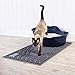 My Cat Mat Cat Litter Mat Traps and Controls Kitty Litter Scatter Large XL Size for Tracking and Trapping Scat from Litter Box, Best Easy Clean Catching and Trapper Rug, Soft on Paws - Grey