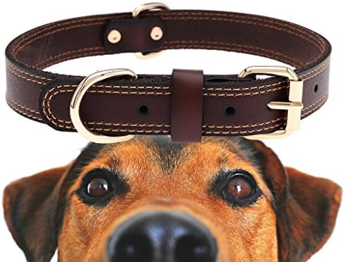 Genuine Leather Dog Collar With Alloy Buckle and Double D Rings (Small, Brown)