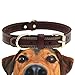 Genuine Leather Dog Collar with Alloy Buckle and Double D Rings (Large, Brown)