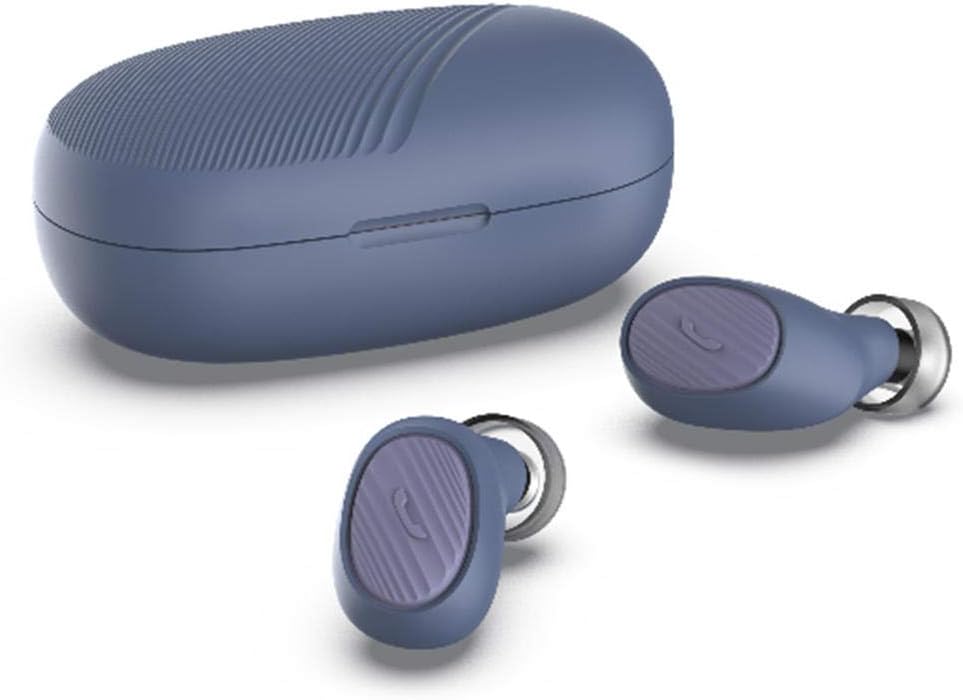 Hinterland Trading dsgf dvsdg02 Air Plant, 1