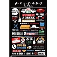 iPosters Friends TV Show Infographic Poster - 91.5 x 61 Centimeters (36 x 24 Inches) by