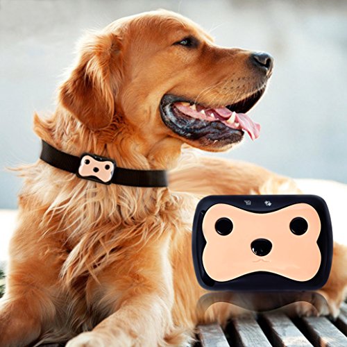 Beafup Pet GPS Collar Tracker, Real Time Locator & Activity Monitor Tracking Device for Dogs and Cats - Thumbnail 4