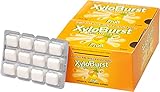 Xyloburst Xylitol Gum Fruit Blister Pack 12 of 12 Pc Packages