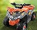 Power Wheels Kawasaki Lil' Quad