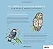 Bird Songs Bible: The Complete, Illustrated Reference for North American Birds