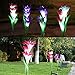 Solar Garden Lights Outdoor, 2 Pack Solar Powered Lights with 8 Lily Flower, Multi-Color Changing LED Solar Stake Lights for Garden, Patio, Backyard (Yellow/White) (Calla Lily（White.Purple）)