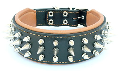 soft leather dog collar